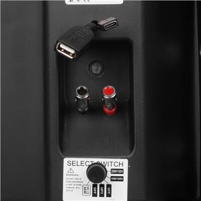 MagicVoice F-LHY5S 5.25'' (13.5 CM) Hat Trafolu Duvar Tipi Sütun Hoparlör (20W RMS / 180W Peak - MP3 USB Uyumlu) - Siyah