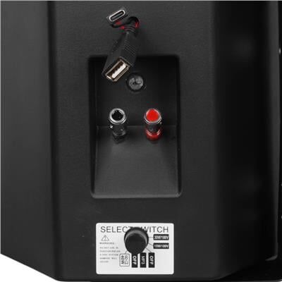 MagicVoice F-LHY6.5S 6.5'' (16 CM) Hat Trafolu Duvar Tipi Sütun Hoparlör (30W RMS / 200W Peak - MP3 USB Uyumlu) - Siyah